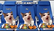 Cat Memes Family Vacation Compilation