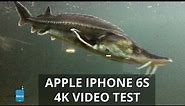 Apple iPhone 6s 4K video test