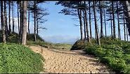 Newborough Forest and Llanddwyn beach Anglesey