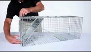 How to Set: Havahart® Large 1-Door Trap Model #1079 for Raccoons, Cats, Groundhogs and Opossums