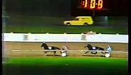 1980 harness racing Match Race Pure Steel v Satinover