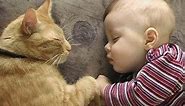 Cats Love Babies - PART 2
