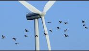 How Do Horizontal Axis Wind Turbines Work?