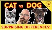 The Surprising Differences Between Cats and Dogs