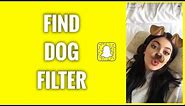 How To Find Snapchat Dog Filter