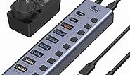 LIONWEI Powered USB 3.1 Hub, 10 Port USB Splitter 10Gbps USB 3.1 Ports with 60W (12V/5A) Power Adapter, Type A and Type C Cables, Individual ON/Off Switches, USB Hub Splitter for PC and Laptop