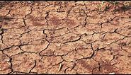 HD Dry Cracked Farmland Drought Royalty Free