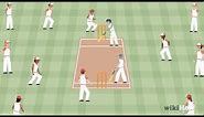 How to Play Cricket