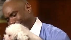 Judge Judy Lets Dog Find Its REAL Owner Inside Court