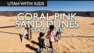 Sand Sledding Coral Pink Sand Dunes State Park