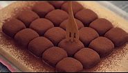 Condensed Milk Chocolate Truffles Easy Recipe [2 Ingredients]