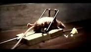 Funny Cheddar Cheese Comercial - Mouse and a Mousetrap