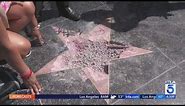 Petition to remove Donald Trump’s star on Hollywood Walk of Fame prompts mixed reactions