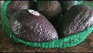How to keep Avocados fresh for a month | Avocado Hack Recipe / Atash-Tube