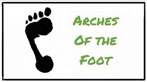 The Arches of the Foot (in 5 minutes )