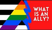 Ally meaning: Definition of What Ally and Allyship means in an LGBT Context