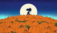 Watch It’s the Great Pumpkin, Charlie Brown - Apple TV