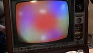 Once Upon a Time Plastic Screens Made Black and White Television Sets Look Like They Were in Color