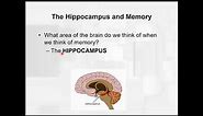 Chapter 12 learning and memory Types of amnesia