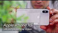 Apple iPhone XS 4K@60fps sample video