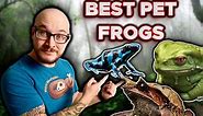 Top 5 Pet Frogs You've Never Heard Of!