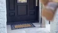 Funniest Video Ever!! Amazon Prime, FedEx, UPS video goes viral