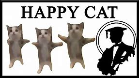 Happy Happy Happy Cat Has Its Own TV Show