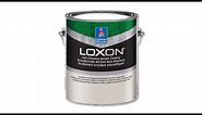 Loxon Self-Cleaning Acrylic Coating