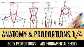 Art Fundamentals: Basic Anatomy & Proportions 1/4