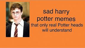 Sad Harry potter memes that only real Potterheads will understand