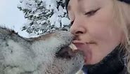 Kissing wolves