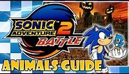 Sonic Adventure 2: Battle - Animals Guide - Pumpkin Hill
