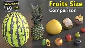 Different Fruits Size Comparison | 3D