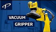 Robotic Modular Palletizer With Vacuum Gripper (RPM Series)