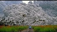 The powerful eruption of the most active volcano Sakurajima in Kyushu, Japan