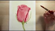 How to Draw and Paint a Red Rose with Watercolors
