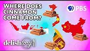 What Are The Different Types Of Cinnamon? | Delishtory