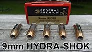 9mm 124 gr Federal HYDRA-SHOK Ammo Review