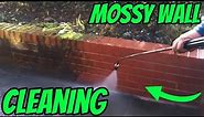 CLEANING A MOSSY WALL