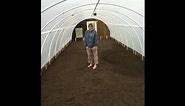PVC greenhouse in a day DIY
