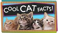 3 Cool Facts About Cats!