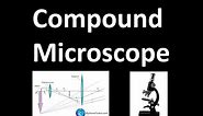 Compound Microscope | Use of Lenses in Optical Instruments | Light and Optics