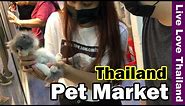 Thailand Cheap Pet Market | Largest Animal Zone #livelovethailand