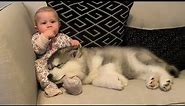 Adorable Baby Meets Husky Puppy For First Time! The Best Years Of Our Lives! (Cutest Ever!!)