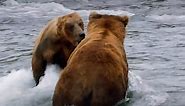 Alaska is home to creatures of... - National Geographic UK
