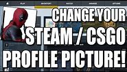 How To Edit Steam Profile Avatar/ Picture & Nickname In CSGO