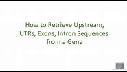 How to Retrieve Upstream,UTRs, Exons, Intron Sequences from a Gene using the UCSC Genome Browser