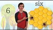 6: The Number Six - Kids Learn to Count Numbers