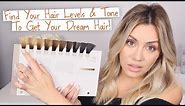 Find Your Hair Level & Tone - To get Your dream hair !