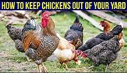 How To Keep Chickens Out Of Your Yard - (5 Easy Ways)